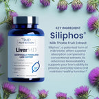 1MD LiverMD - Liver Support Supplement | Siliphos Milk Thistle Extract - Highly Bioavailable, for Liver Support | 60 Capsules (2-Pack)