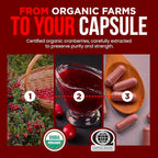 OmniBiotics USDA Organic Cranberry Pills for Women - High Potency 25,000 mg Supplement with 25:1 Fruit Extract - Daily Urinary Tract Support - 120 Vegan Capsules