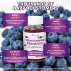2 Pack Glucosamine Chondroitin Gummies - Glucosamine Chondroitin with MSM, Elderberry, Turmeric, Joint Support Supplement for Adults, Men & Women - Blueberry Flavor, 120 Cts