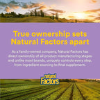 Natural Factors Pharma GABA - Dietary Supplement Supports Calm Sleep & Sleep Quality - Natural, Fast-Working Supplement Aids Focus & Brain Health - 120 Chewable Tablets (60 Servings)