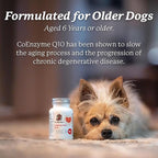 Dr. Harvey's Coenzyme Q10 - Heart & Cardiovascular Support Supplements for Dogs, 60 Capsules