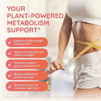 Happy Healthy Hippie GLP-1 Supplement (Metabolaid™ + Chromium) + Appetite Suppressant for Women | Metabolism Booster (AMPK) for Weight | Belly Fat Burner | Hunger & Cravings Control - 30 Vegan Caps