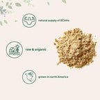 North America Grown, Organic Pea Protein Powder, 1KG (2.2 Pounds) | Plant-Based Vegan Protein, Meatless Protein Supplement, Natural Branched Chain Amino Acids | Non-GMO, Soy Free