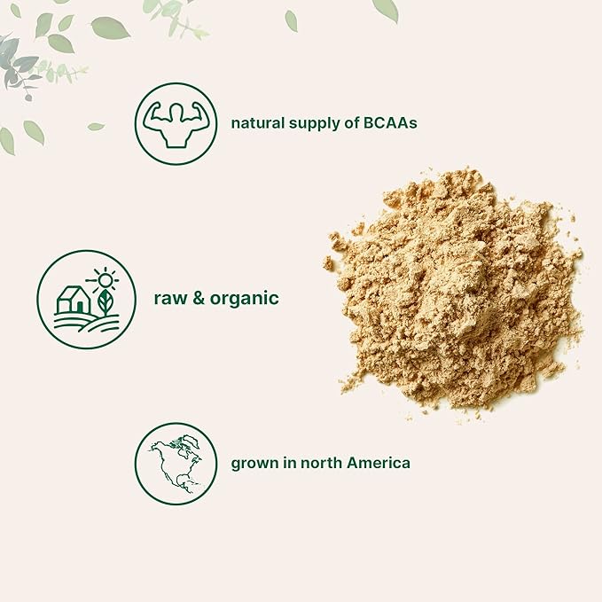 North America Grown, Organic Pea Protein Powder, 1KG (2.2 Pounds) | Plant-Based Vegan Protein, Meatless Protein Supplement, Natural Branched Chain Amino Acids | Non-GMO, Soy Free