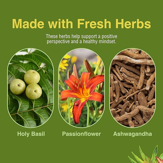 Herbs Etc. Stress ReLeaf - Herbal Supplement to Support Relaxation - Stress Support Supplemment - Gluten-Free - 60 Softgels (60 Servings)