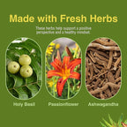 Herbs Etc. Stress ReLeaf - Herbal Supplement to Support Relaxation - Stress Support Supplemment - Gluten-Free - 60 Softgels (60 Servings)