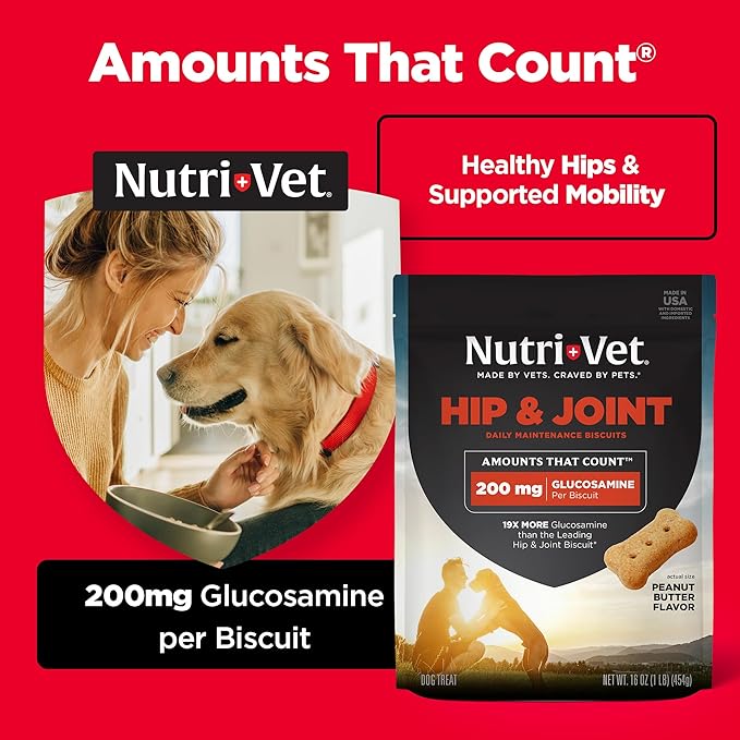 Nutri-Vet Hip & Joint Biscuits, Dog Joint Supplement, Dog Treat, Small Sized Biscuit with 166mg Glucosamine, Puppy Supplements, Tasty Glucosamine Treat, Puppy Essentials, 16 oz Bag