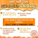 OH MY CHEWY Pure Himalayan Shilajit Gummies - High Potency Gold Grade Resin - Energy Boost and Immune Support for Men and Women with Ashwagandha and Shatavari - 120 Gummy - Peach & Mango
