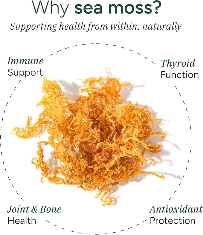 ROOT LABS Sea Moss Gummies I 92+ Minerals I Black Seed Oil I KSM 66 Ashwagandha I Lab Tested I No Added Sugar | for Men, Women I Non-GMO I 100% Natural & Organic I 1600 mg I 60 Gummy