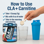 BPI Sports CLA+Carnitine – CLA L Carnitine & Linoleic Acid – L Carnitine Supplement for Weight Loss, Metabolism & Lean Muscle – Caffeine Free – Watermelon Freeze – 50 Servings – 12.34 oz