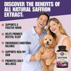 100% Pure Saffron Extract - Supports Weight and Appetite Health, Mood, Focus, Memory, Digestion, Eye, Skin and Brain Health. NSF Certified Saffron Supplements for Women and Men.