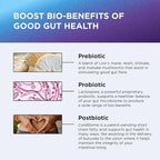 DR. EMIL NUTRITION Women & Men Total Gut Health Complex | Prebiotic + Probiotic + Postbiotic Gut Health Supplements | Probiotics Digestive Health & Gut Health | 60 Capsules