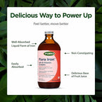 Flora Iron with B-Vitamin Complex - Helps Maintain Healthy Iron Levels - Non-Constipating, Highly Absorbable - Vitamin-B & Liquid Iron - Vegan Supplement - Yeast & Gluten Free, 15-oz. Glass Bottle