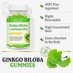 Ginkgo Biloba Gummies 240mg with Panax Ginseng for Better Mood and Focus, Booster Brain Health, 60 Vegan Apple Flavor Gummies