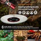 Saponin Hanppuri Everyday Korean Red Panax Ginseng Extract Stick - 3000mg High Potency Liquid Supplement - Caffeine Free Energy & Immune Support - 30 Packets