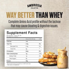 Ambrosia Plant Protein Powder 20g | Vegan Pea Protein Powder with BCAA Amino Acids | Dairy Free, Keto-Friendly, No Added Sugar | 25 Servings | Banana Maple