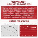 Liquid NAD, Extra Strength 1,200mg NAD+ Supplement with CoQ10, Resveratrol, D-Ribose & PQQ for Men & Women, Natural NAD+ Stick for Anti-Aging, Energy, Focus - 30 Packets