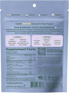 Plant People WonderSleep Mushroom Gummies Supplement for Sleep, No Melatonin with Reishi Super Mushrooms, Wild Elderberry Flavor, Sugar-Free (60 Count)