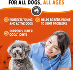 Liquid Glucosamine for Dogs with Chondroitin, MSM & Hyaluronic Acid (32oz). Hip & Joint Supplement Supports Better Mobility & Promotes New Cartilage. Eases Joint Stiffness. Rejenease, Made in USA