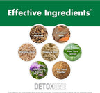 NutraOne DetoxOne 30 Day Extra Strength Detox Cleanse Supports Healthy Digestive Function And Weight Loss| Promotes Detoxification, Increases Energy & Improves Nutrient Absorption*