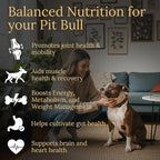 Multivitamins, Balanced Nutrition for Your Pit Bull, 90 Count, Made in The USA with Real Bacon