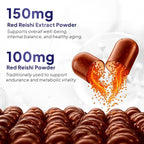 FINE JAPAN Organic Reishi Mushroom Capsules-Organic Mushroom Extract Supplement to Boost Your Immune System Health Dynamic Mushroom - 60 Capsules