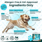 Glucosamine for Dogs Hip and Joint Supplement - Chondroitin, MSM, Green-Lipped Mussel - Clear Hip & Joint - Advanced Mobility Cartilage Support, Bone Health - Tasty Chews 60ct - Made in USA