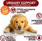 Dog UTI Treatment - 170 Cranberry Chews for Dogs - Urinary Tract Infection, Bladder & Kidney Health Multivitamin - Cranberry Supplement for Dogs with D-Mannose - Dog Vitamins and Supplements