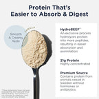 Designs for Health Bone Broth Protein Powder – 21g Grass-Fed, Collagen-Rich Beef Protein Isolate – Vanilla, Paleo, Non-GMO, Dairy-Free (30 Servings / 810g)