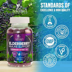 Elderberry Immune Support Gummies - Elderberry Extract Sambucus Nigra - Black Elder Berry Vitamin Supplement - Natural, Daily Immune Support Kids & Adults Love - Delicious Berry Flavor - 120 Gummies
