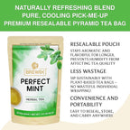 BREWIX, Perfect Mint Tea (20 Pyramid Tea Bags) | Soothing Mint Blend for Digestion Support & Daily Calm | Calming, Fresh and Cool | Caffeine Free Herbal Tea | No Sugar & No Caffeine | Spearmint and Peppermint