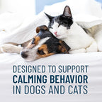 Nutramax Solliquin Calming Behavioral Health Supplement for Small to Medium Dogs and Cats - with L-Theanine,Magnolia/Phellodendron,and Whey Protein Concentrate,75 Soft Chews,(Pack of 2)