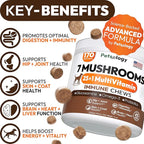 (2 Pack) Turkey Tail Mushroom for Dogs - 340 Chews - Lion’s Mane - Shiitake - Reishi - Buddy Immune Support Guard - Mushroom Supplement for Dogs with Glucosamine, Health Vitamins Multivitamin