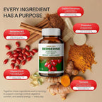 WONDER FAMILY Berberine 500 mg GLP-1 Weight Loss Supplement – Berberine HCl with Ceylon Cinnamon, Probiotics, Vitamin D3 & K2 – Glucose Metabolism & Appetite Support – 2 Pack - 120 Capsules