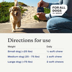 Petlab Co. Joint Care Chews for Dogs - High Levels of Glucosamine, Green Lipped Mussels, Omega 3 and Turmeric - Hip and Joint Supplement for Dogs to Actively Support Mobility, Packaging May Vary