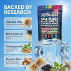 Clean Nutraceuticals Sea Moss Black Seed Oil Ashwagandha Turmeric Bladderwrack Burdock & Vitamin C Vitamin D3 with Elderberry Manuka Dandelion (120 Count (Pack of 1))