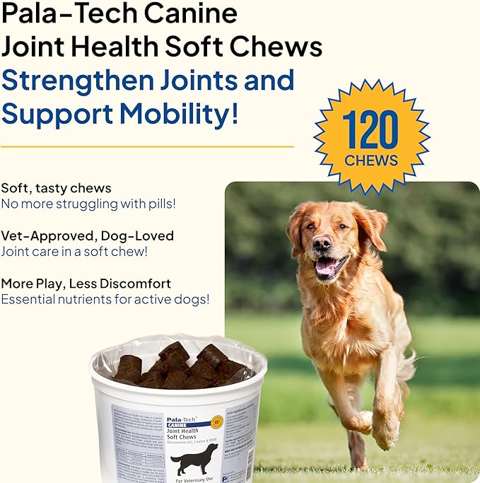 Canine Joint Soft Chews (120 ct) - Glucosamine & MSM Joint Supplement for Dogs - Dog Arthritis Pain Relief – Supports Mobility & Eases Stiffness - Tasty & Easy to Give