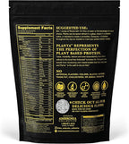 Ambrosia Planta - Premium Plant-Based Protein | Vegan & Keto Friendly | Gourmet Flavors with No Bloating or Stomach Upset | Gluten & Soy Free | No Added Sugar | 14 Servings | (Cinnamon Roll)