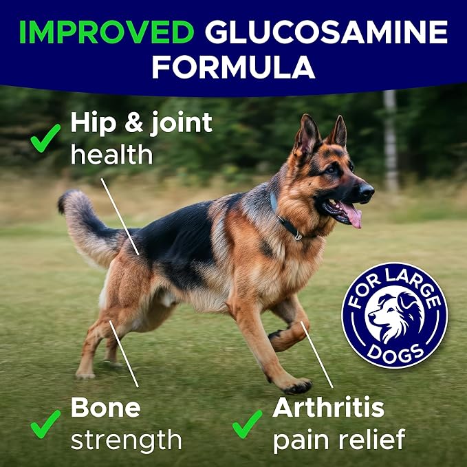 Glucosamine for Dogs Hip & Joint Supplement - Chondroitin, Omega-3, MSM - Joint Health & Pain Relief - Senior & Large Dogs - Made in USA - 120Ct