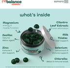 Zeolite Detox for Kids & Adults, Heavy Metal Zeolite & Chlorella Detox Gummies, Alternative to Activated Charcoal, Gentle Daily Toxin Cleanse for Kids & Adults, 60 Green Apple Vegan Gummies