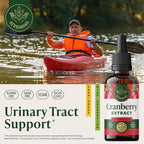 HERBAMAMA Cranberry Supplement Drops - Vegan Urinary Tract Support for Men and Women with Cranberry Extract - Non-GMO, Alcohol & Sugar-Free Kidney Support Supplement, 42-Day Supply
