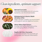 Goodness Lover Inflammation Pro, with 10 Billion CFU for Digestive Support, Curcumin, White Willow bark Extract, Zero fillers, Vegan, 30 Servings