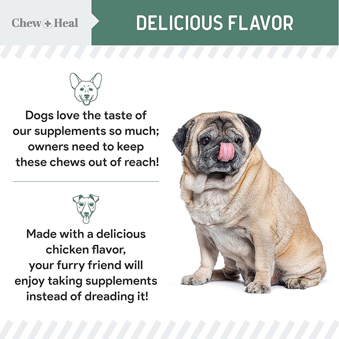 Chew + Heal Labs Glucosamine for Dogs Hip and Joint Supplement - 240 Senior Dogs Mobility Soft Chews - Made with Glucosamine, MSM, Chondroitin, Green Lipped Mussels and More - Made in The USA
