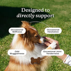 Petlab Co. Joint Care Chews for Dogs - High Levels of Glucosamine, Green Lipped Mussels, Omega 3 and Turmeric - Hip and Joint Supplement for Dogs to Actively Support Mobility, Packaging May Vary
