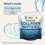 ANDREW LESSMAN Marine Collagen Peptides Powder and MSM 240 Servings - Supports Radiant Smooth Soft Skin, Comfortable Joints. Pure. Super Soluble No Fishy Flavor No Additives Non-GMO