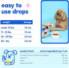 Taily Liquid Collagen for Dogs Skin and Coat Supplement, Cats | Taily Liquid Premium Grass-fed Collagen | Itch Relief for Dogs with Allergies, Biotin, Vitamin C and Hyaluronic Acid | Made in USA