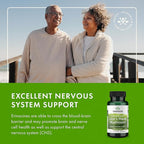 Swanson Lion's Mane Mushroom Brain Health Supplement for Professionals Seeking Mental Focus, Memory, and Clarity Support - 500 mg (60 Vegan Capsules, 4 Bottles, 3 Pack)