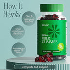 Fiber Gummies for Women - Natural GLP-1 Support with Kiwi, Pomegranate & Ginger - Sugar Free Digestive Health Supplement, Prebiotic FOS Fiber - Vegan & Gluten Free (60 Gummies - 30 Day Supply)