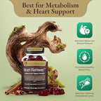 Heart Harmony™ Berberine Supplement Gummies with Ceylon Cinnamon – High Potency berberine with Ceylon cinnamon for Metabolism Blood Sugar Support Healthy Lipid Balance Circulatory Wellness