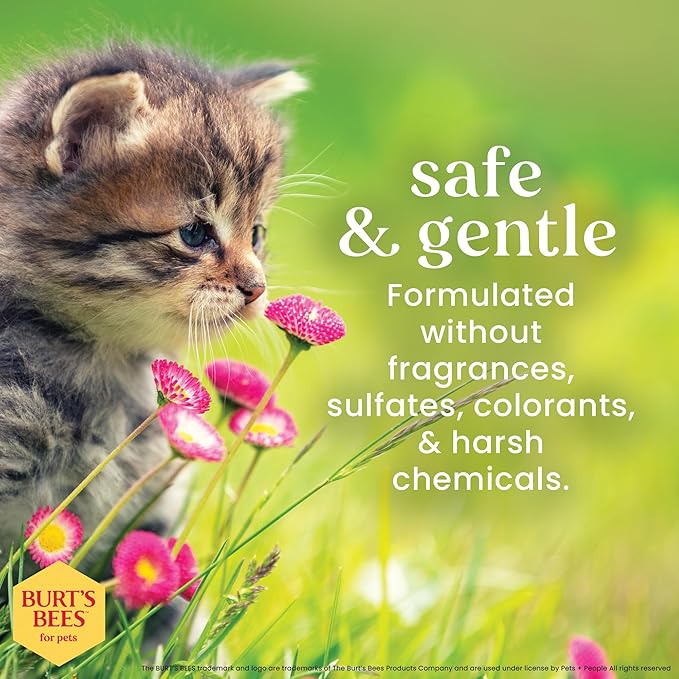 Burt's Bees for Pets Kitten Grooming Wipes with Buttermilk and Honey, Waterless Cat Bath Wipes for Face, Paws, Tail and Coat Cleaning, Gentle Bath Alternative for Indoor Felines, 50 Count